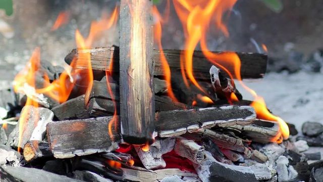 Guía rápida: qué palets son seguros para hacer el fuego del asado y no contaminan la carne