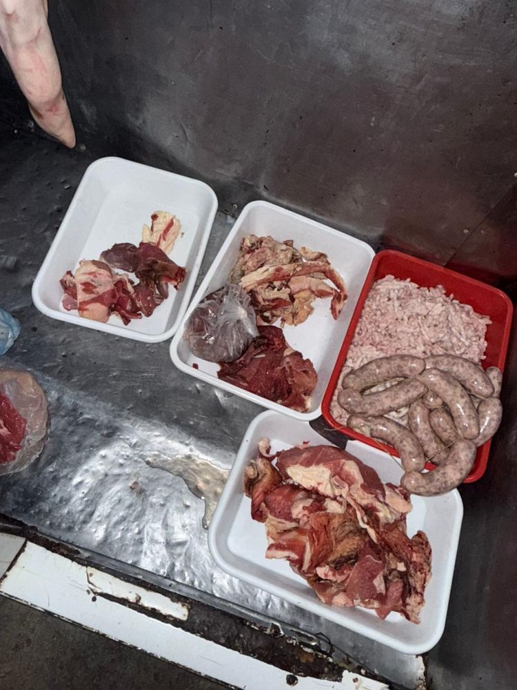 Villa Concepción: Patrulla Rural llevó a cabo un allanamiento por un hecho de abigeato