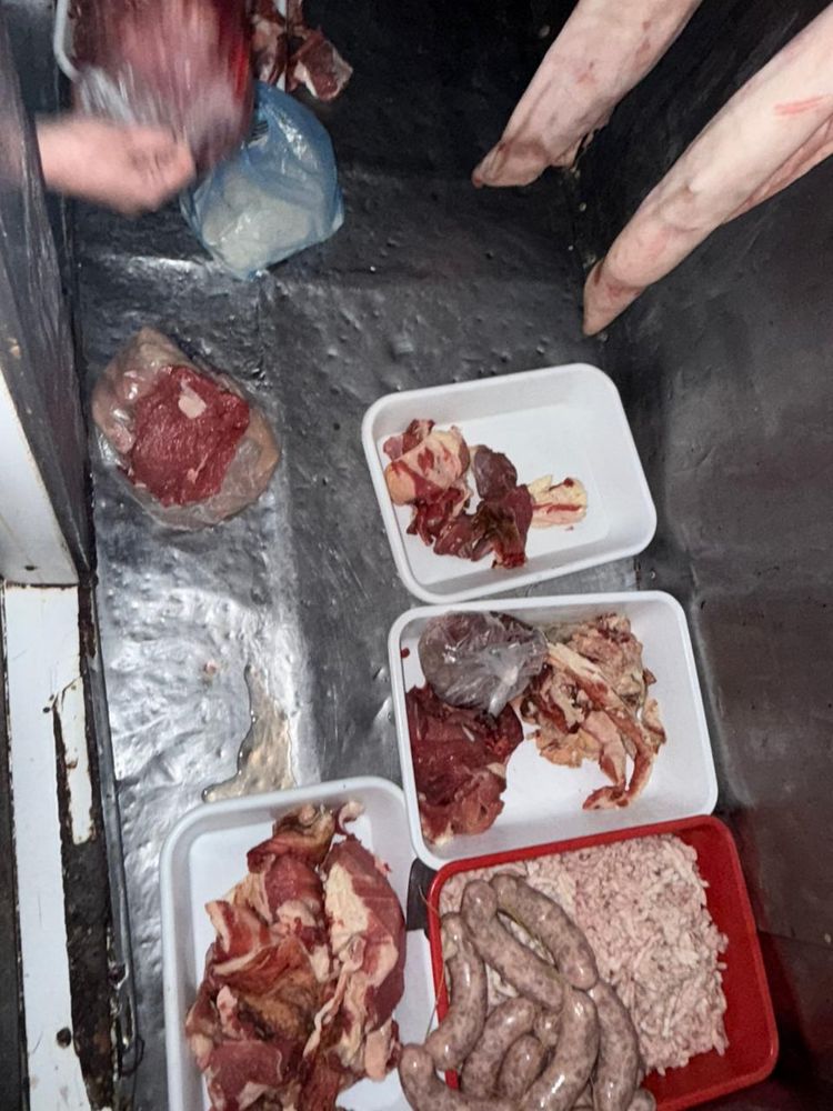 Villa Concepción: Patrulla Rural llevó a cabo un allanamiento por un hecho de abigeato