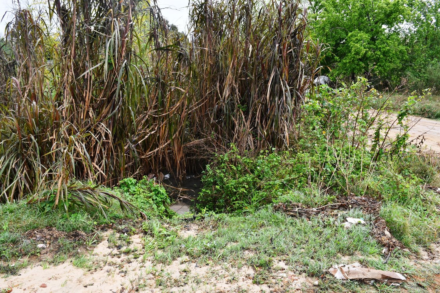 Concordia licitó una obra hidráulica de $97 millones para mejorar el drenaje en Parque Río Uruguay.