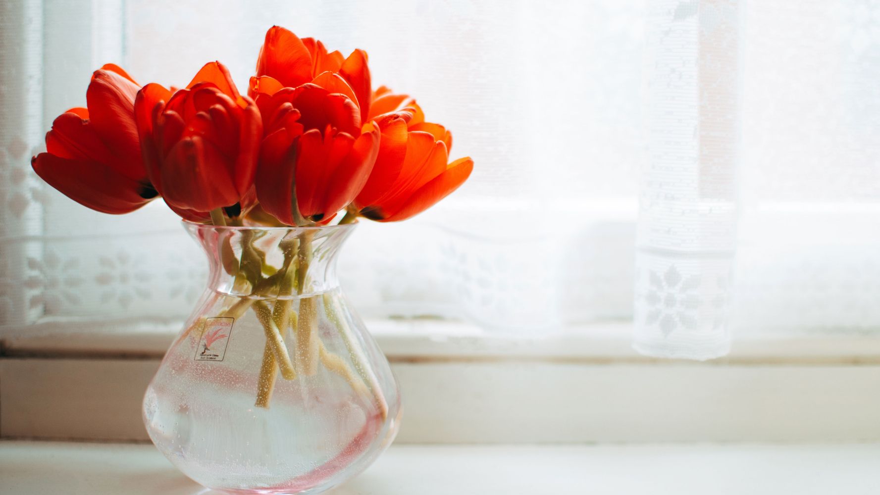 Cómo mantener las flores en buen estado por más tiempo.