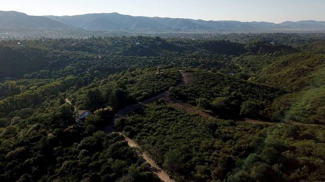 La nueva Reserva Cultural Natural Municipal El Puma protege más de 75 hectáreas de bosque serrano en el sector oeste de La Falda.