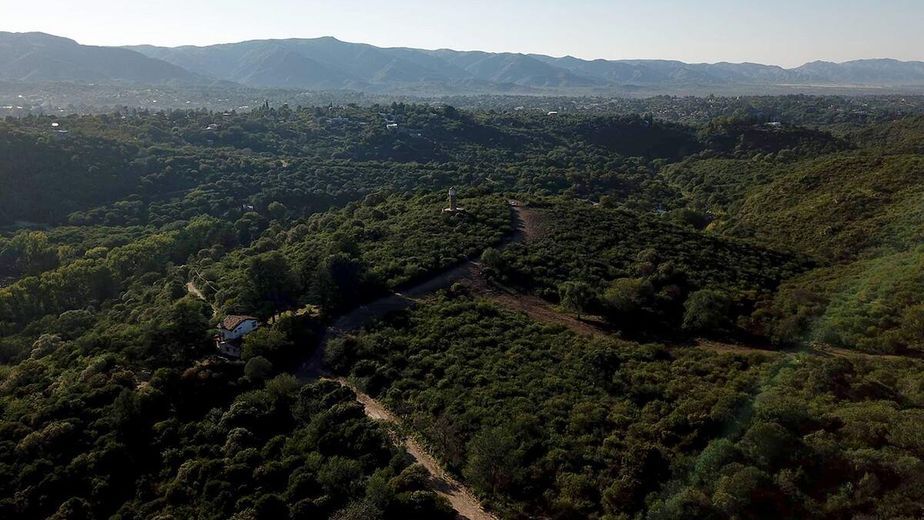 La nueva Reserva Cultural Natural Municipal El Puma protege más de 75 hectáreas de bosque serrano en el sector oeste de La Falda.