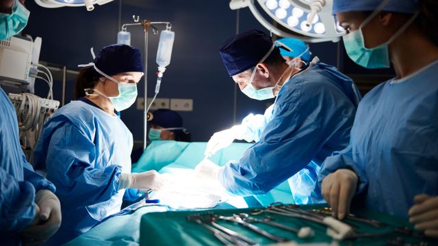 Los especialistas aseguran que será posible el transplante de órganos entre especies.