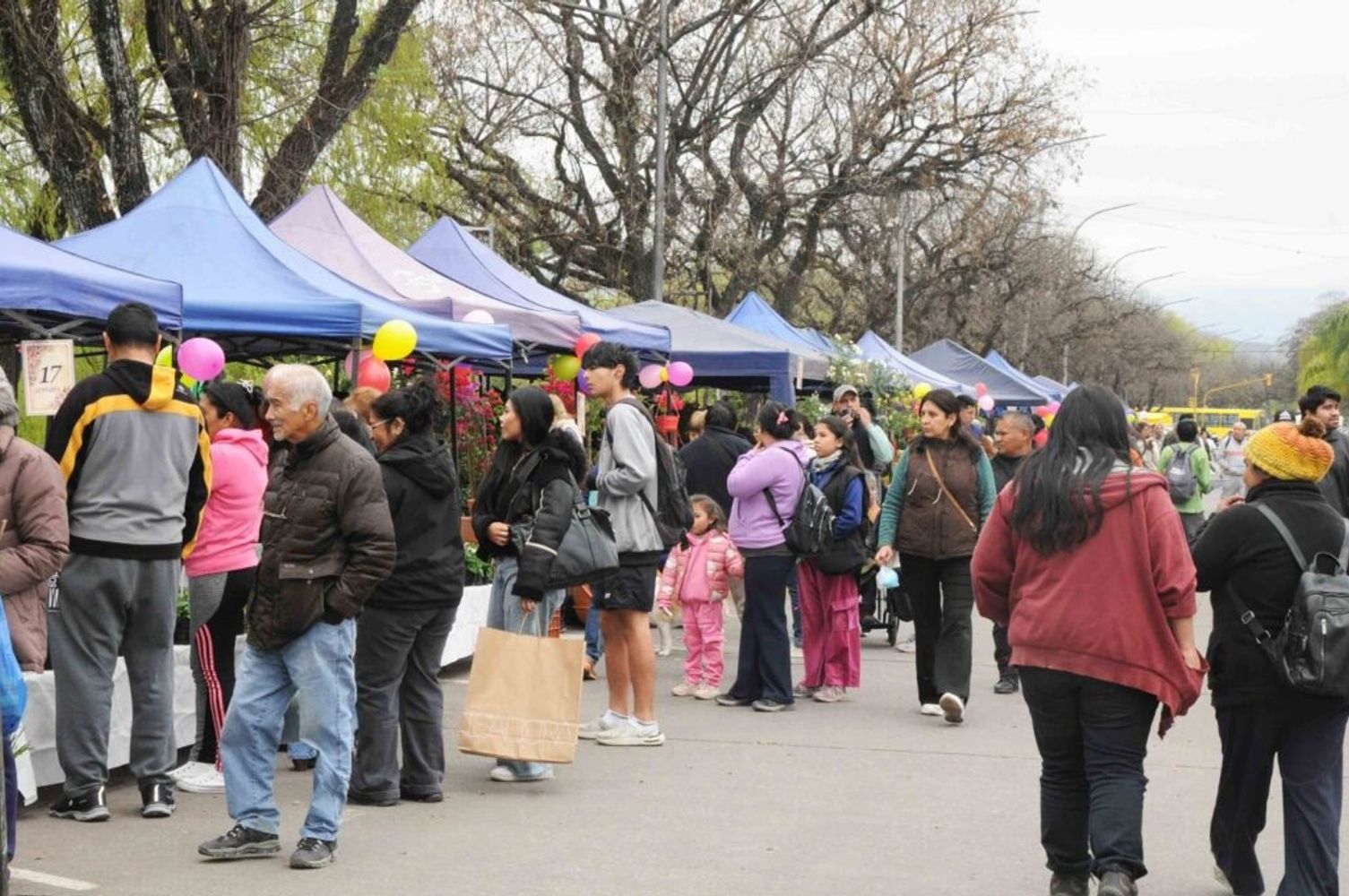 Una jornada especial se vivió el sábado último en el tradicional Paseo de las Plantas, donde la asociación de los floricultores jujeños festejó con la comunidad los 17 años de actividad de la entidad.