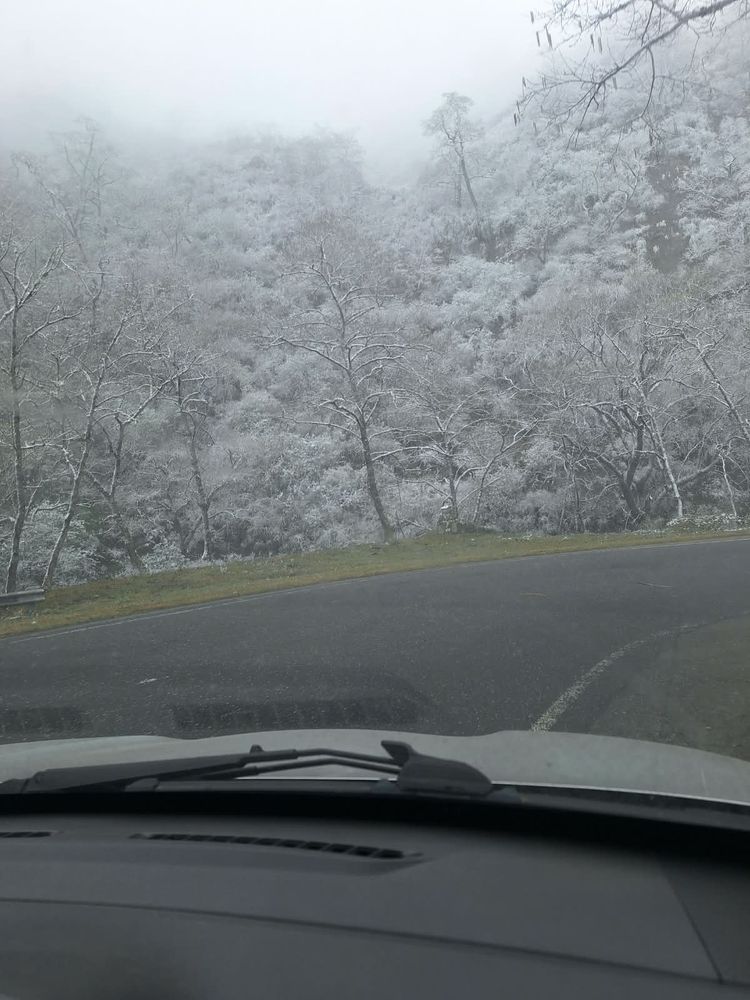 La Ruta 307 permaneció transitable pese a la nieve y la neblina densa en la calzada.