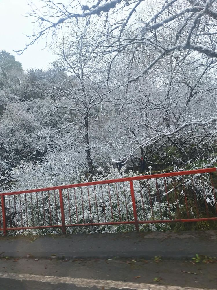 Del hielo al alivio: así sigue el clima en Tafí del Valle tras el temporal.