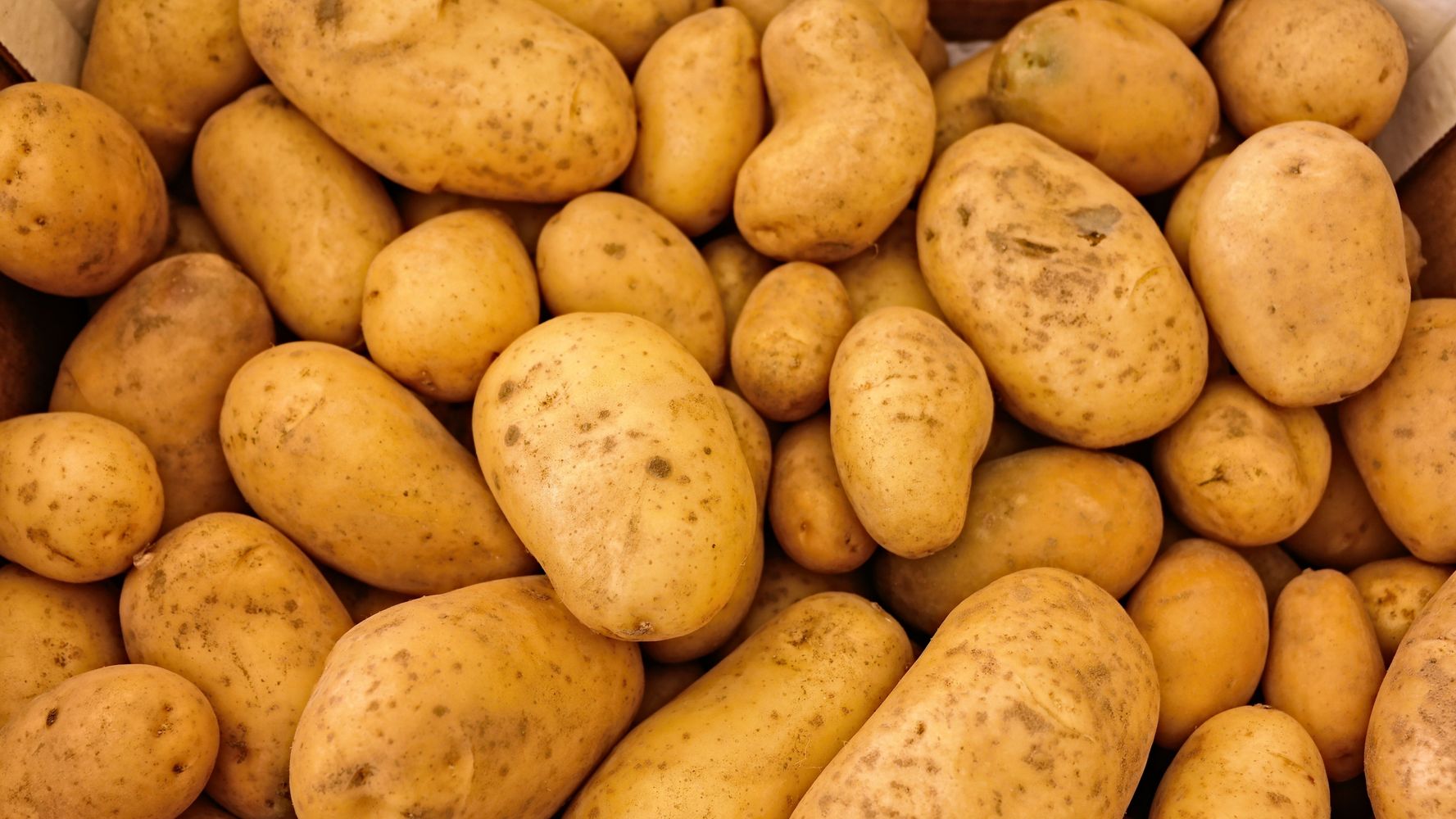 Papas.