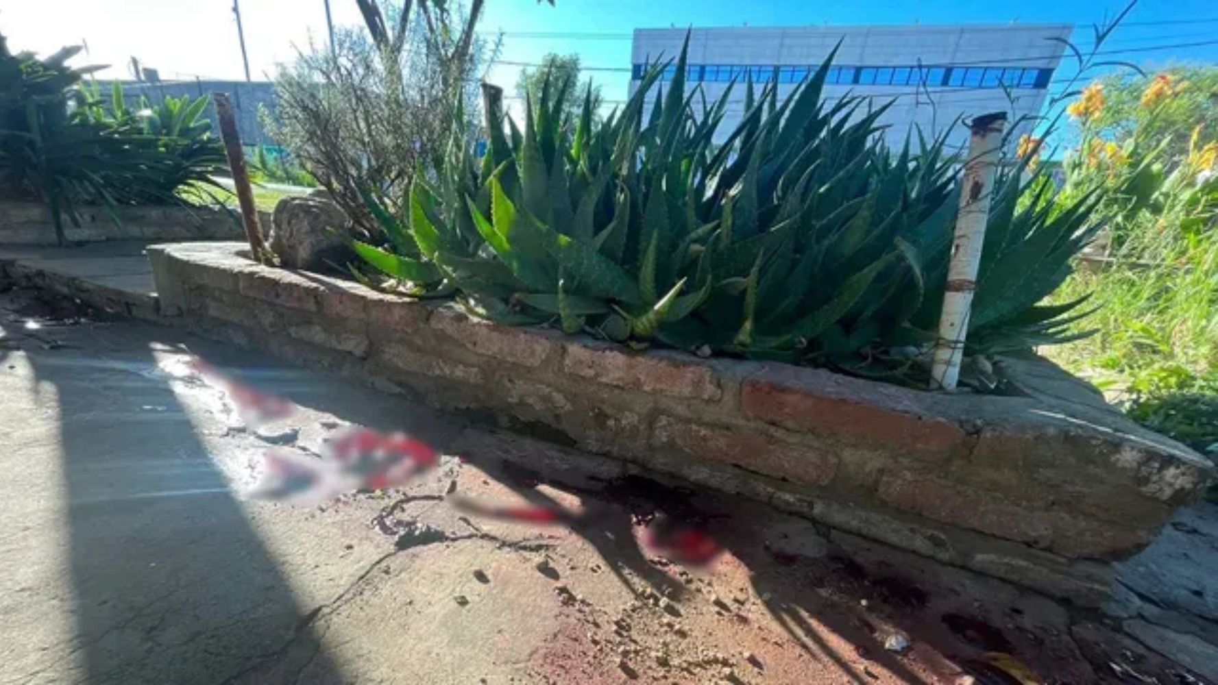 Intentó escapar, perdió el control y sufrió un golpe fatal.