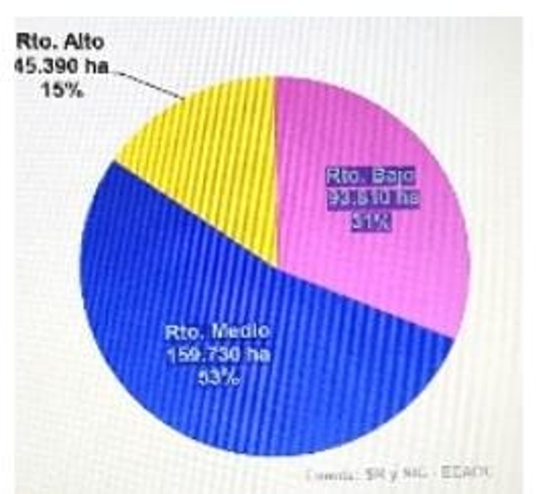 Grafico