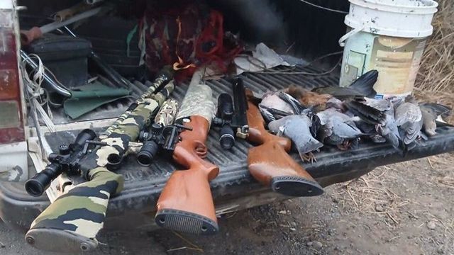 Le secuestraron tres rifles PCP, cargadores, balines y una camioneta Toyota Hilux.