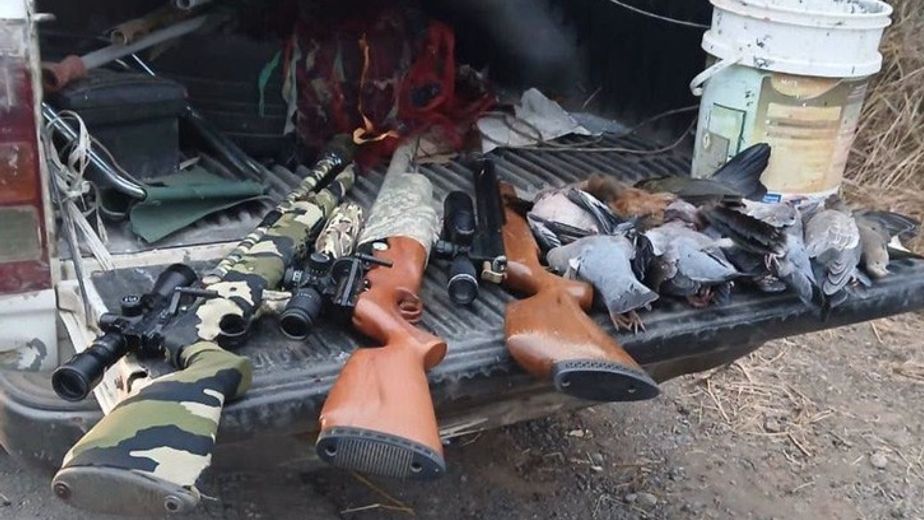 Le secuestraron tres rifles PCP, cargadores, balines y una camioneta Toyota Hilux.