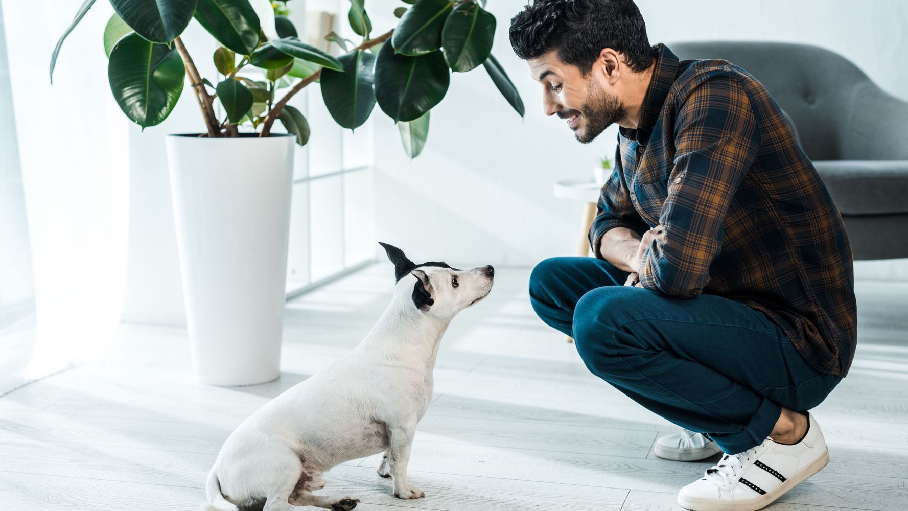 El fuerte vínculo entre los humanos y su mascota.
