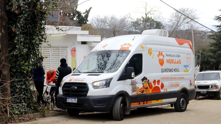 Familias con Huellas acerca servicios gratuitos para el cuidado de perros y gatos.