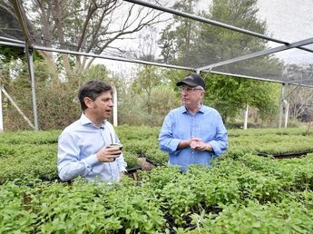 Kicillof respaldó en Misiones los reclamos yerbateros y apuntó contra la desregulación nacional