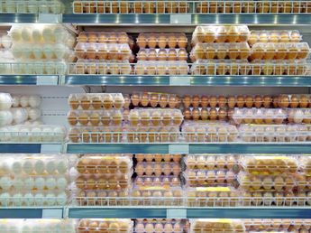 Recomendado por la USDA: cómo guardar los huevos para que duren más tiempo y no se echen a perder