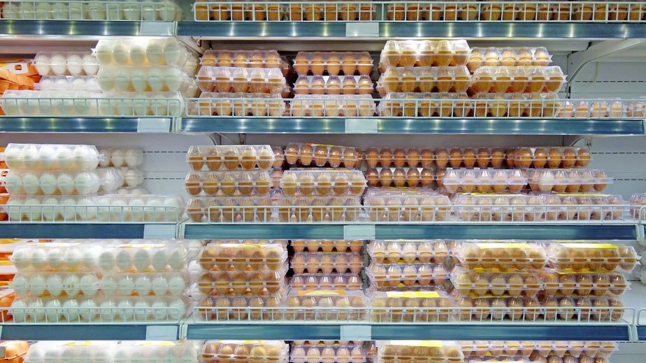 Recomendado por la USDA: cómo guardar los huevos para que duren más tiempo y no se echen a perder