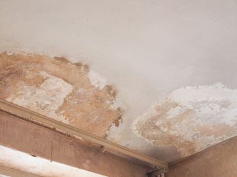 Los pintores expertos coinciden: un techo con humedad, hongos y suciedad no se soluciona aplicando impermeabilizante