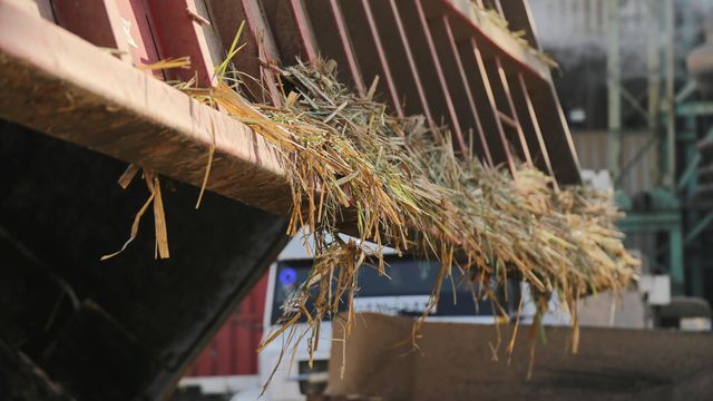 Los datos del IPAAT muestran un salto en este segmento, dentro de un total de 850.770 toneladas producidas en la provincia.