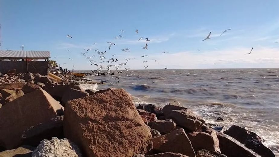Alerta en Punta Alta: la duda sobre el agua en Arroyo Pareja