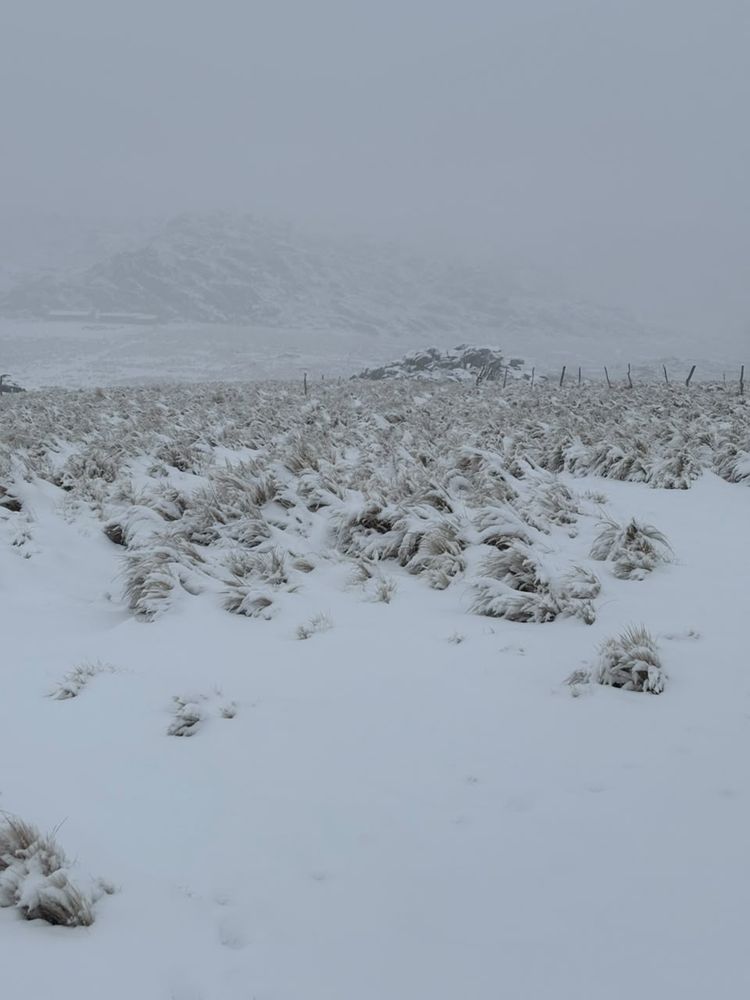 Nevada en el Cerro Champaquí.