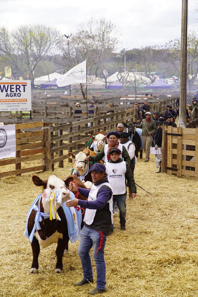 Expo Rural Gualeguaychú.