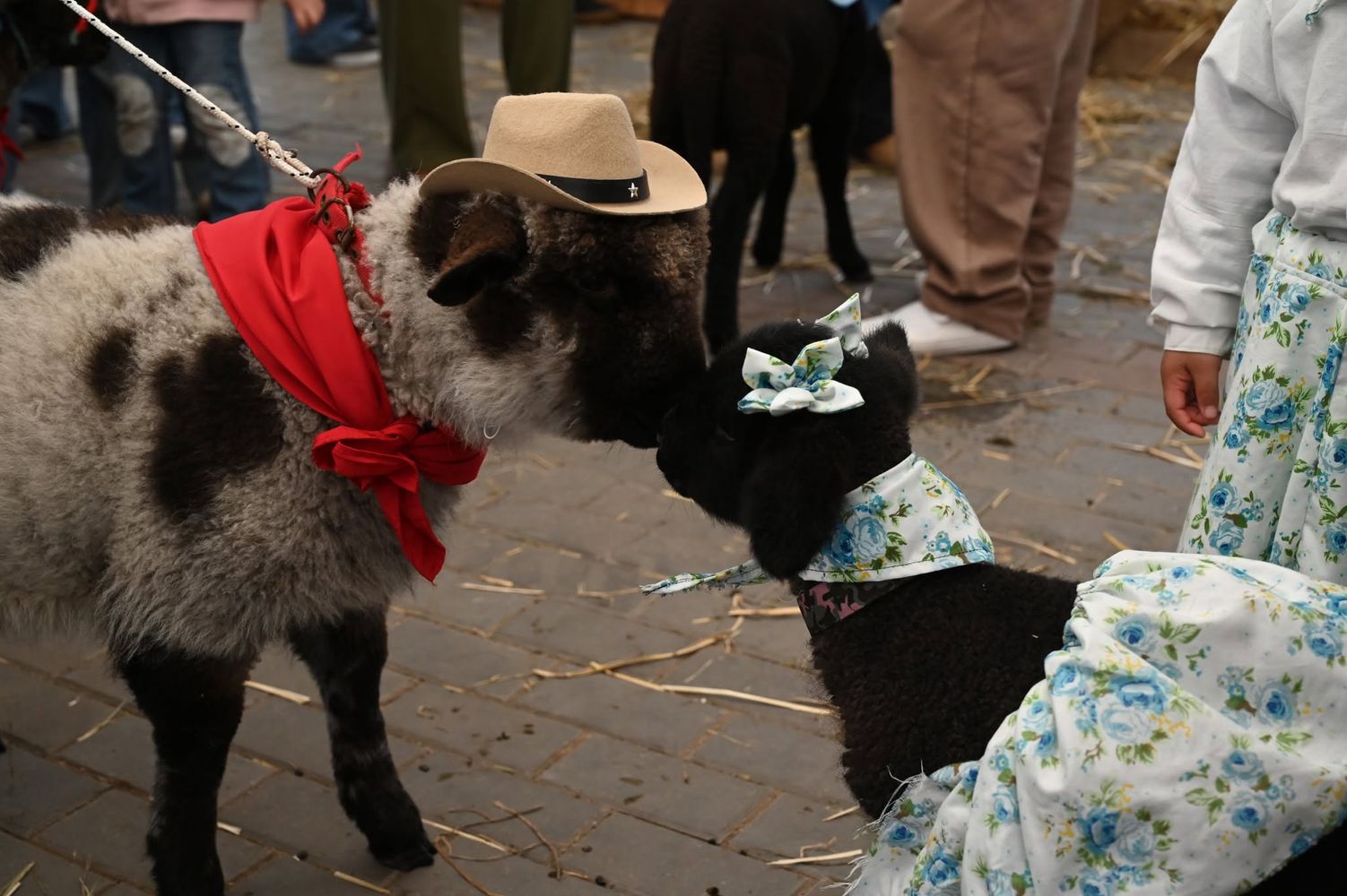 Expo Rural Gualeguaychú.