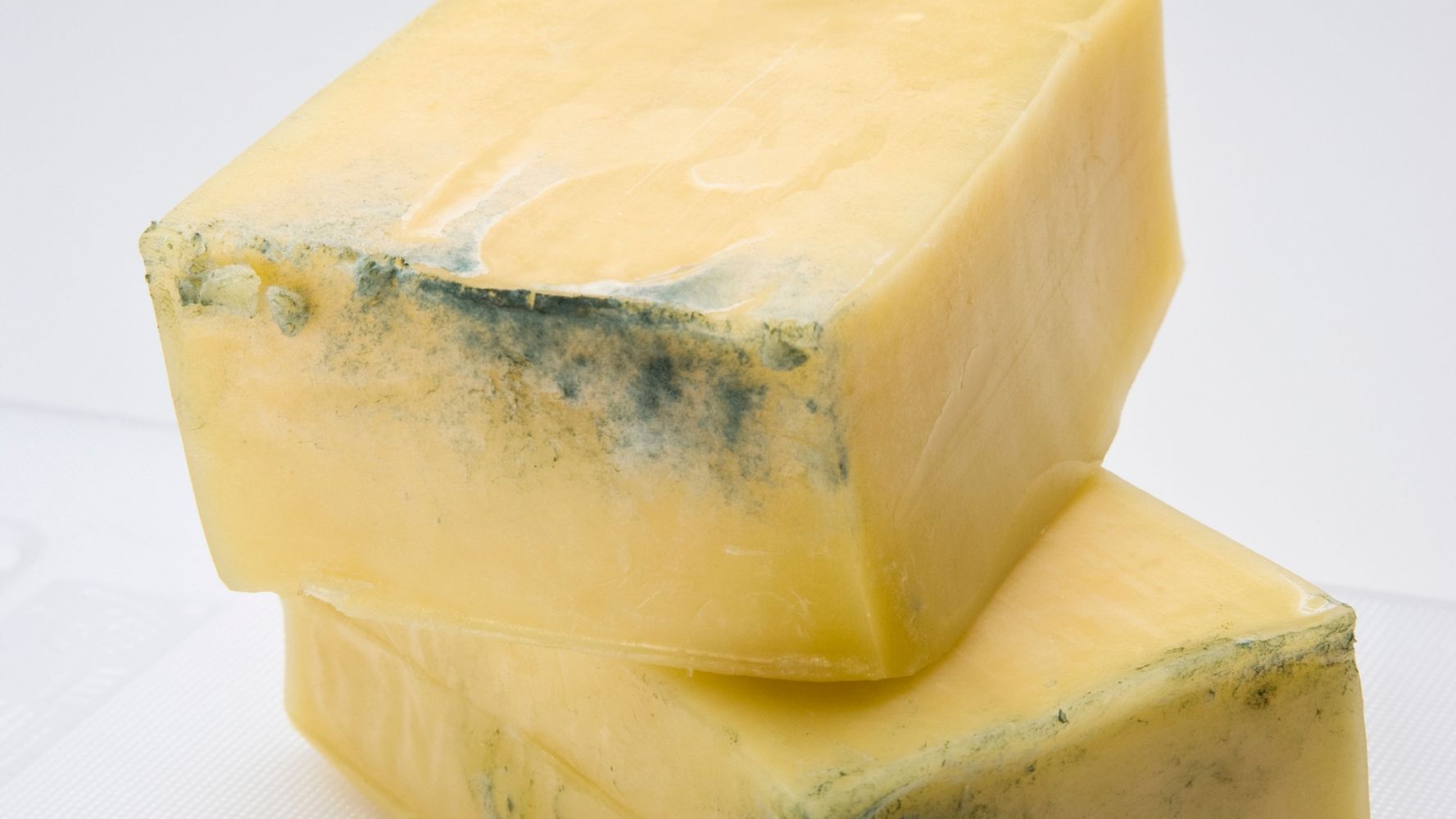 Queso con hongos.