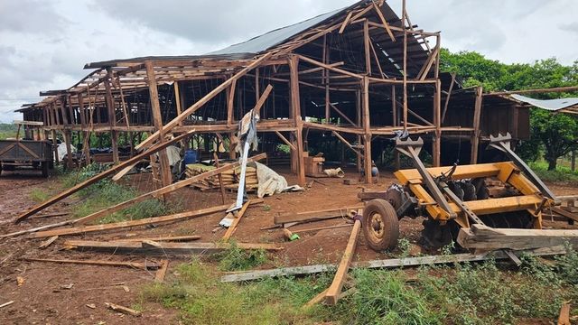Tornado en San Pedro: productores estiman pérdidas millonarias y ya comenzaron a reconstruir sus chacras.