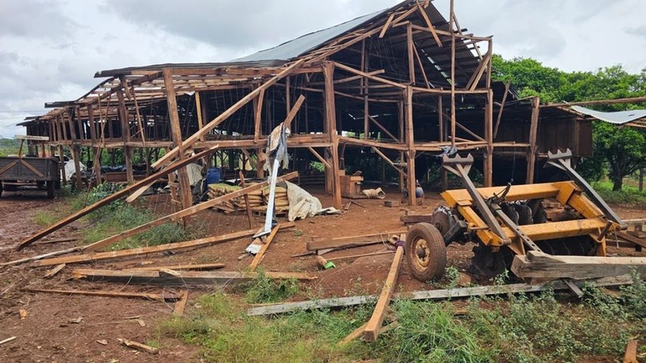 Tornado en San Pedro: productores estiman pérdidas millonarias y ya comenzaron a reconstruir sus chacras