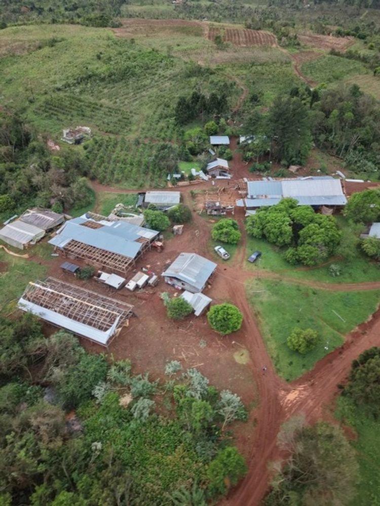 Tornado en San Pedro: productores estiman pérdidas millonarias y ya comenzaron a reconstruir sus chacras.