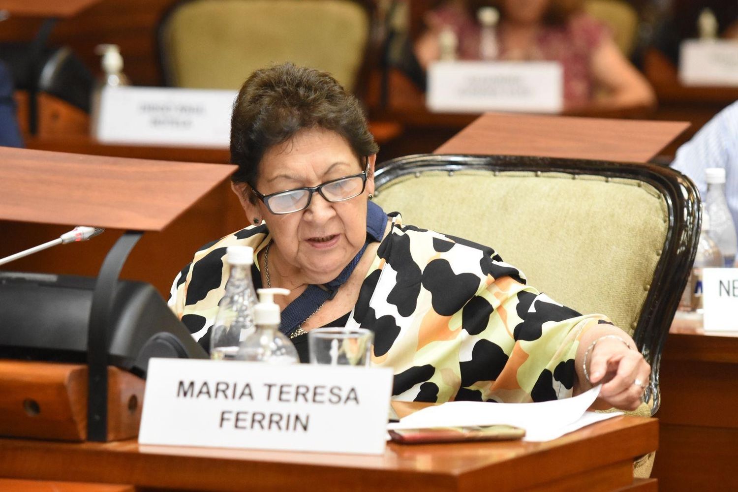 La diputada María Teresa Ferrín, de la bancada Jujuy Crece, preside la Comisión de Educación de la Legislatura de Jujuy.