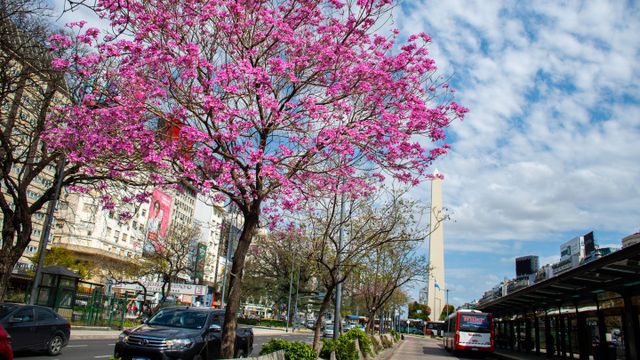 Se viene la época en la que las ciudades se pintan de colores.