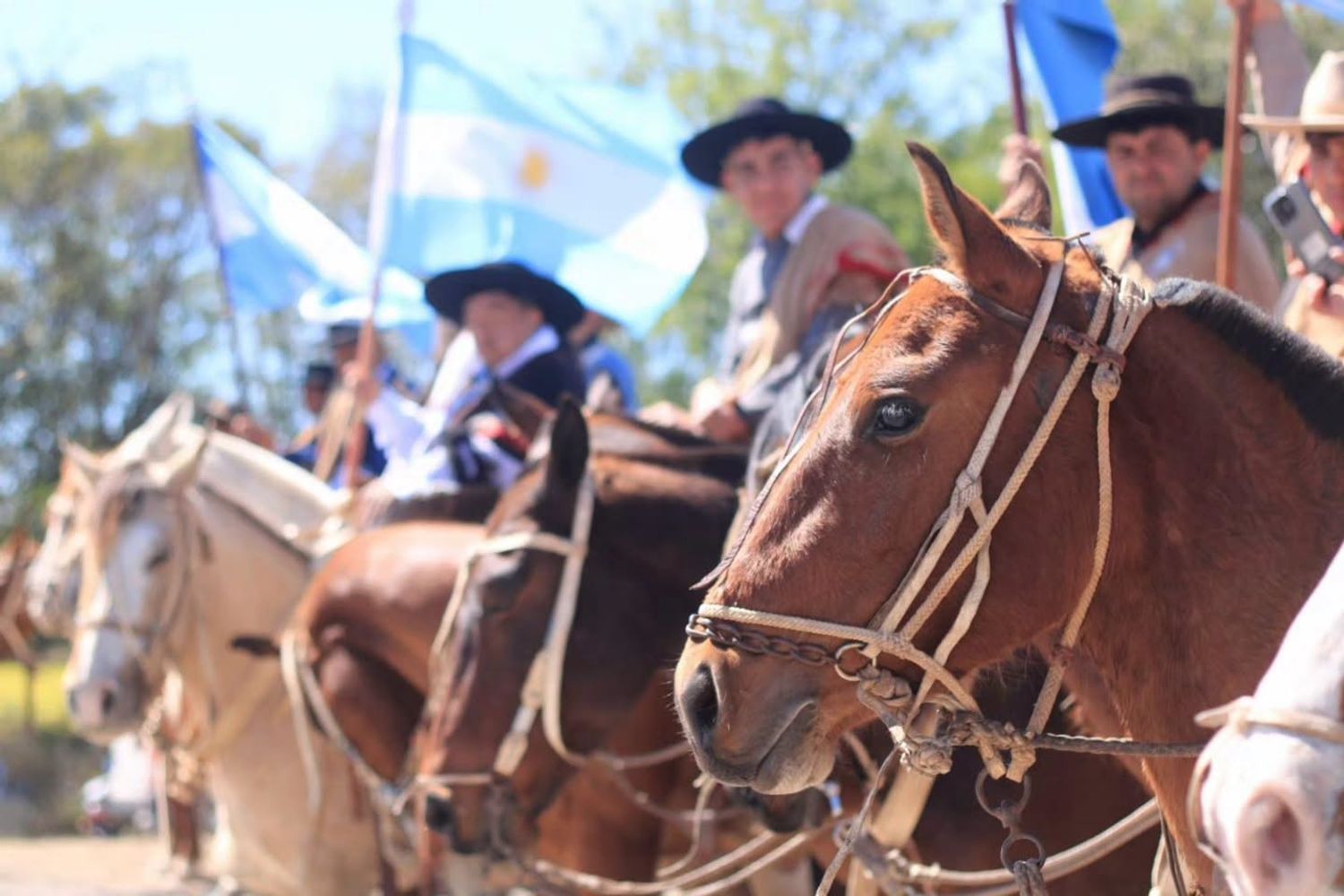 Festival del Caballo en Trancas.