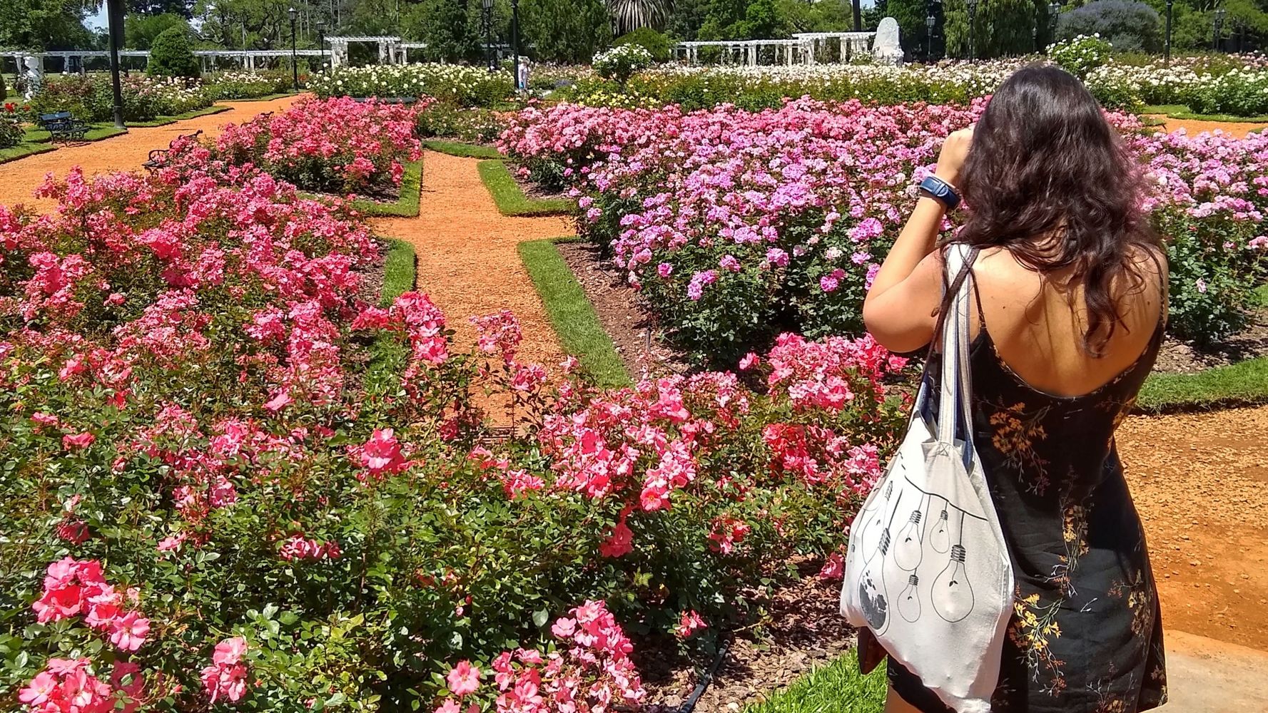 Cuándo llega al primavera a Argentina.