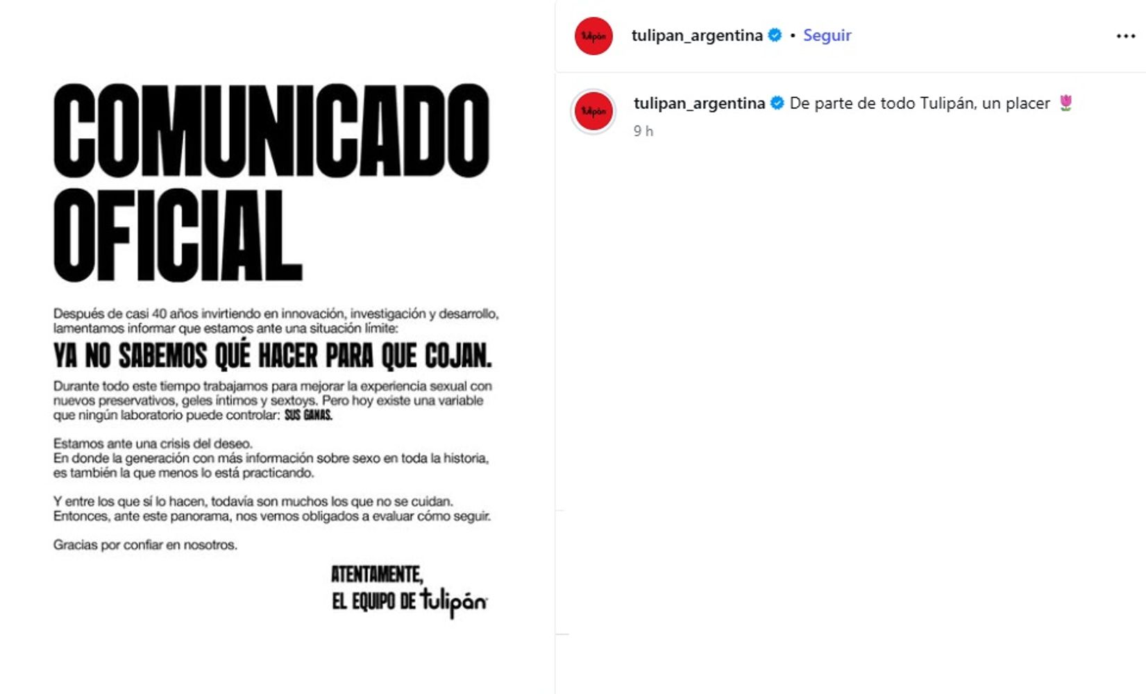 El comunicado de Tulipán