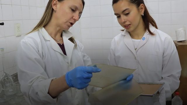 La línea más lejana explora su uso como soporte reabsorbible en medicina regenerativa.