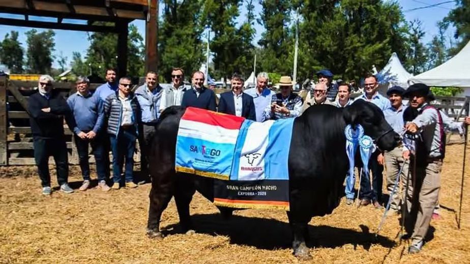 Más de 420 animales y 80 cabañas se reunieron en La Banda, Santiago del Estero, durante tres jornadas de exposición y capacitación.