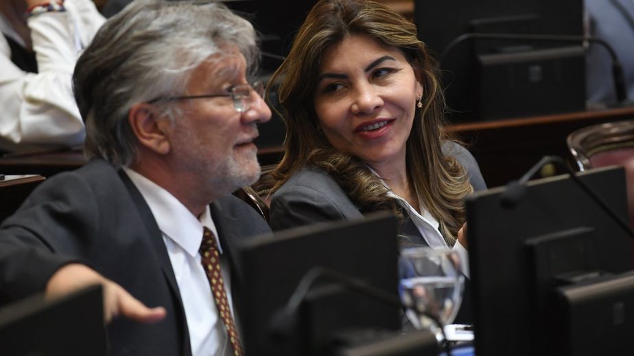 Biocombustibles: Opinión de la senadora Sandra Mendoza