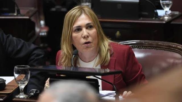 Ávila reveló el trabajo detrás de escena que destrabó el proyecto en el Senado.
