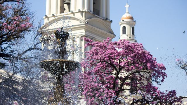 Del Cristo Bendicente a la Terminal de Concepción: la provincia toda festeja la primavera.
