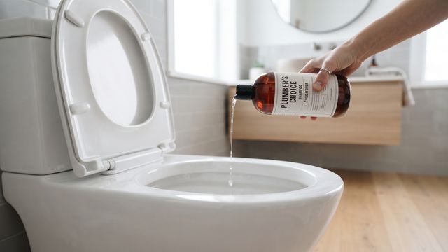 Los plomeros expertos aconsejan poner media taza de shampoo en el inodoro una vez por semana: por qué lo piden y para qué sirve