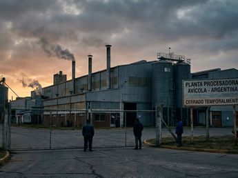 Una reconocida empresa evalúa pagar sueldos con pollos y suma a su planta en Córdoba a concurso preventivo