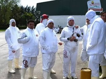 Granja Tres Arroyos atraviesa sus horas más críticas: cerró distintas plantas y ofreció pagar los salarios con pollos