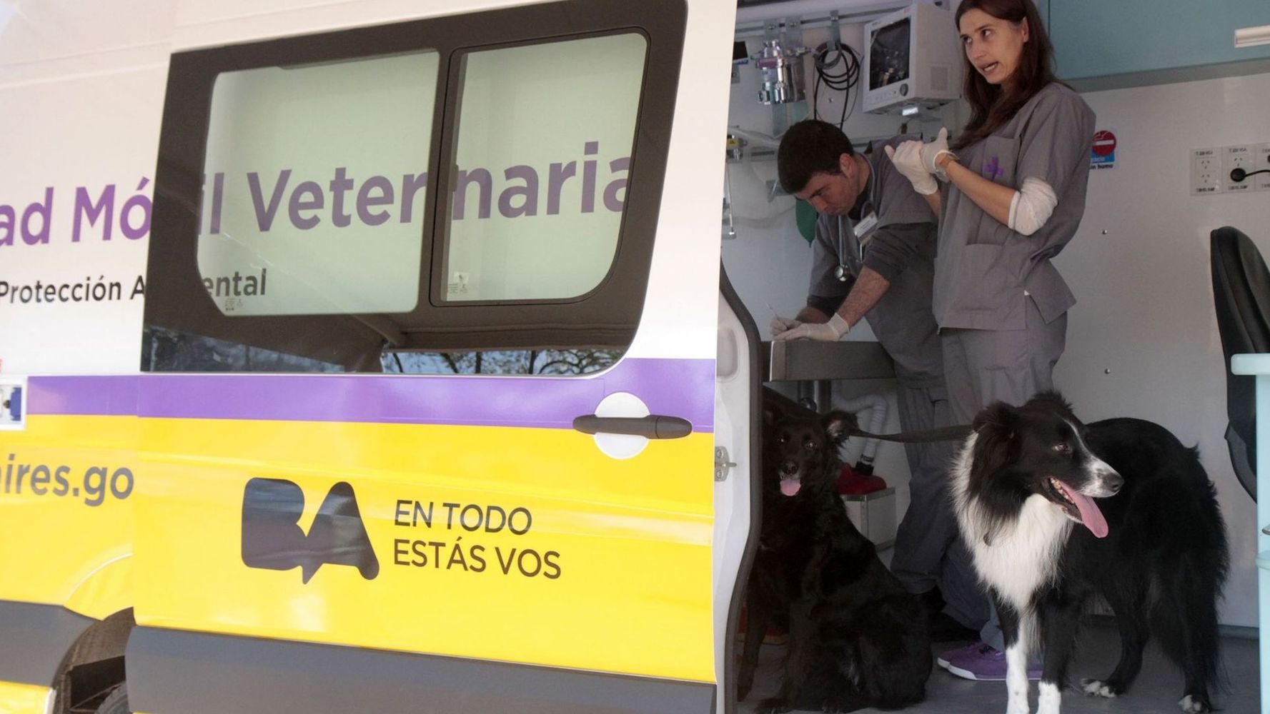 Atención veterinaria gratuita.
