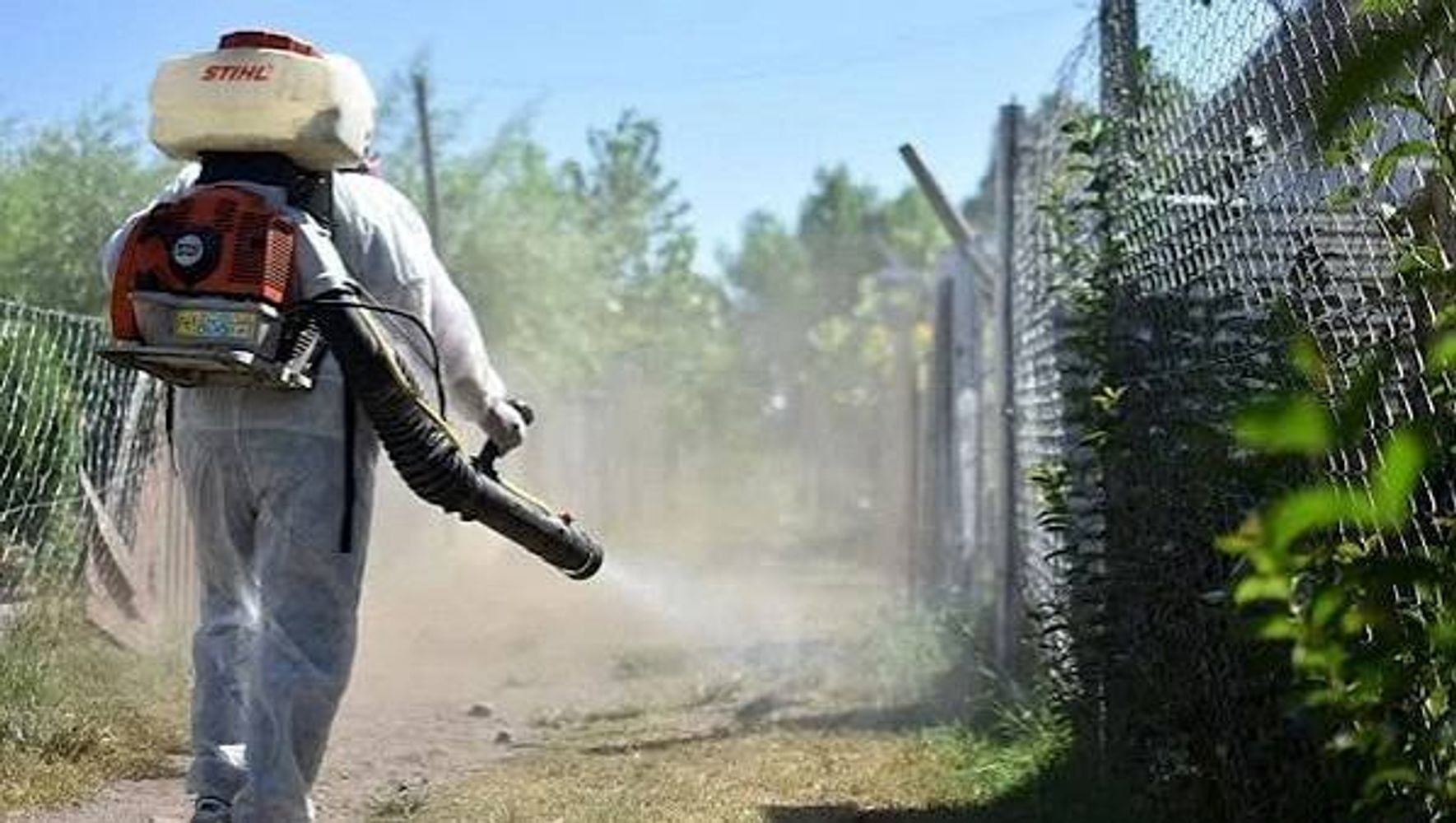 Criadero dengue.
