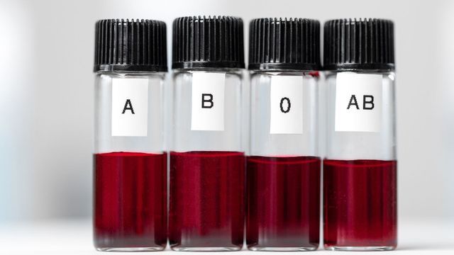 El factor sanguíneo que llama la atención de la ciencia.