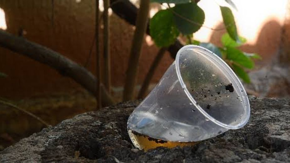 Criadero dengue.