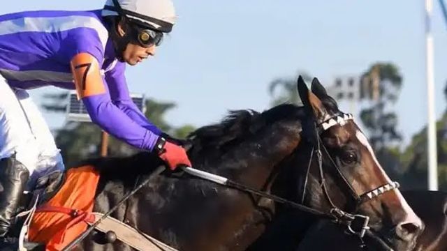 Más de 220 caballos y 214 años de historia en una misma jornada.