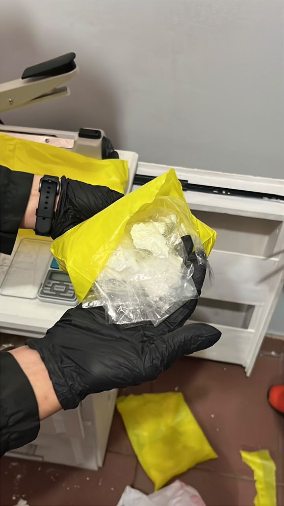Operación Dominó: nueve detenidos y más de medio kilo de cocaína secuestrado en siete allanamientos en Oberá y Alvear.